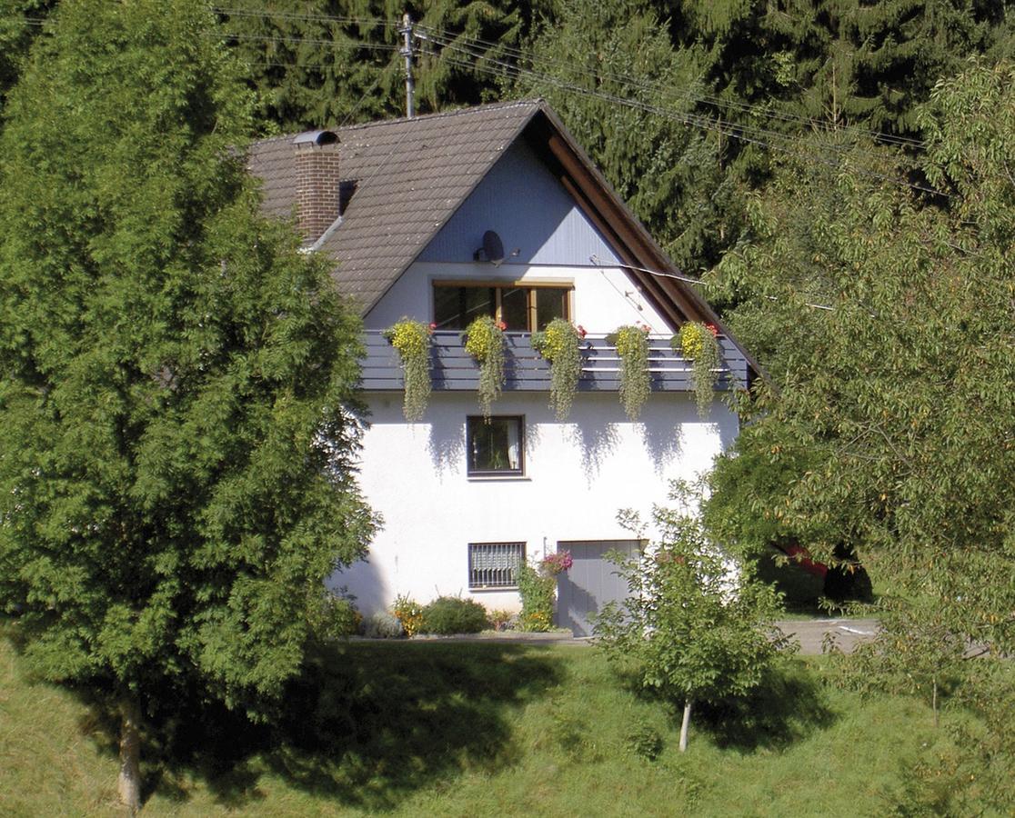 Appartamento Haus Wolter Gengenbach Esterno foto